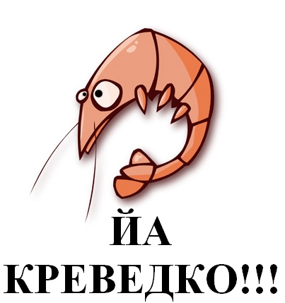 Гигантское загадочное животное вынесло на берег Тихого океана