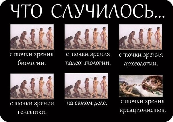 6 доказательств эволюции, сохранившихся на нашем теле