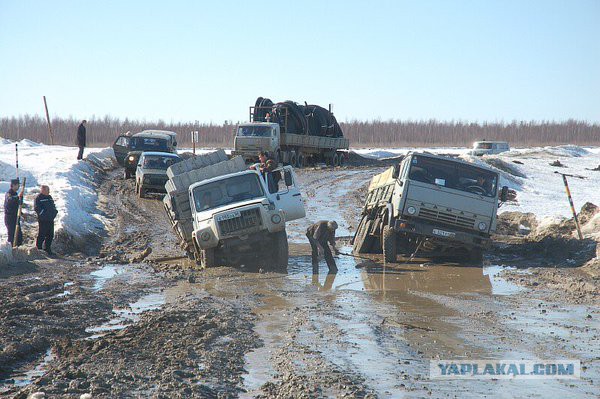 Российской экономике поставили диагноз: лучшее состояние за всю историю