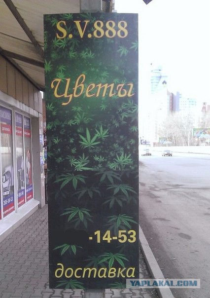 Картинки для поднятия настроения - 4