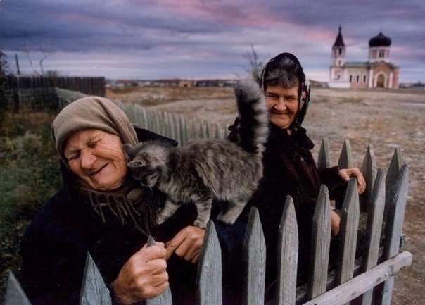 Божьи твари