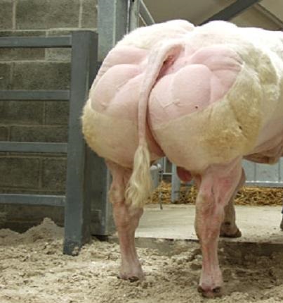 Лялечка Кристина и попа-мутант