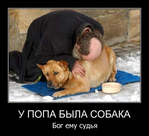 Что говорит Библия о душе животных.