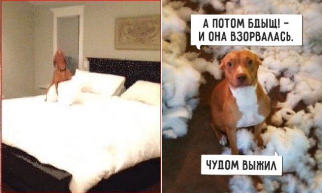Стучаться надо!