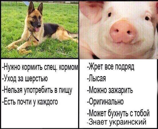 Очень чёрный юмор. Чёрный, как моя душа