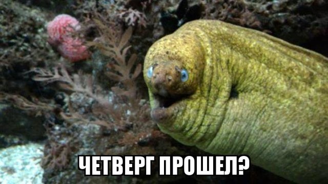 Подборка интересных и веселых картинок