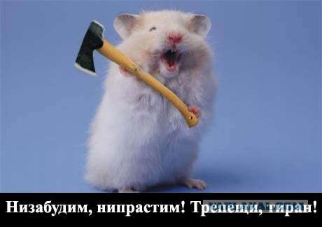 Драки и беспорядки 5 мая. Видео с виновными