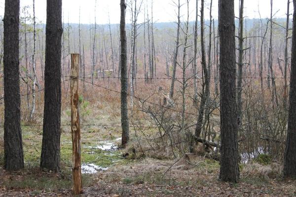 История малолетней узницы концлагеря Озаричи