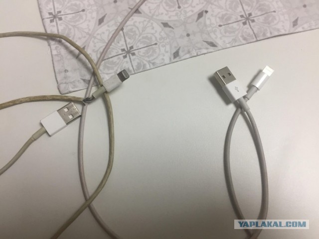 Люди, которые расскажут вам, что такое полный облом