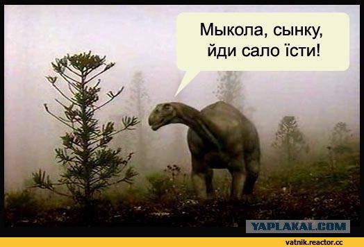 Какие динозавры жили в России?