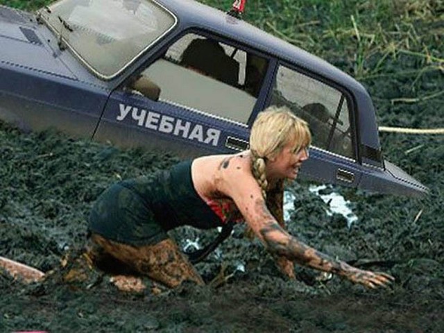 Лента прикольных картинок