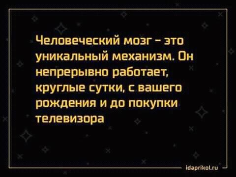 Всякая всячина #12