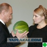 Фотожаба: крыжовник