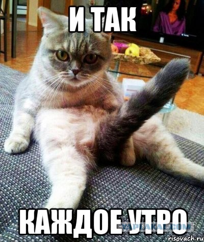 Стала известна самая опасная утренняя привычка