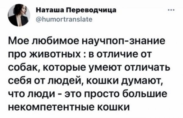 Прикольные и просто красивые картинки 22.06.2021