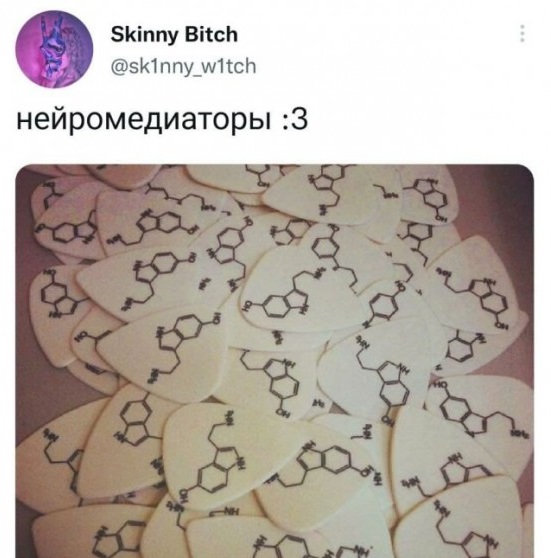 Забавные шутки, фразы, картинки из этих ваших интернетов