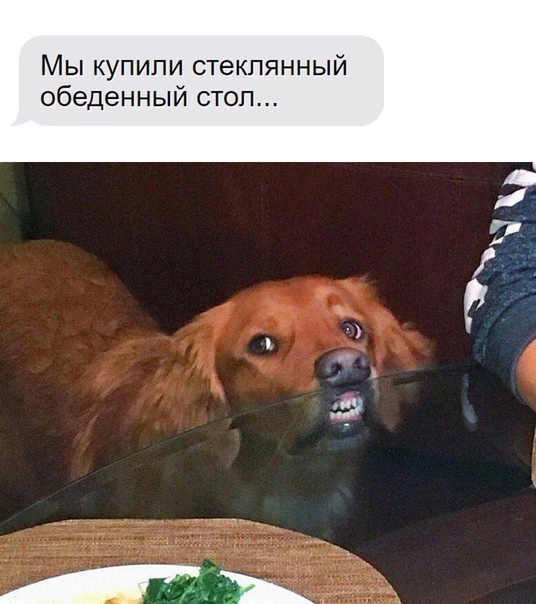 Так себе картинки 17.04.22