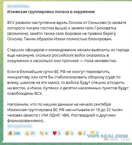 Пандемия съехавших крыш - разновидности болезни. Россия и мир. Часть 41.
