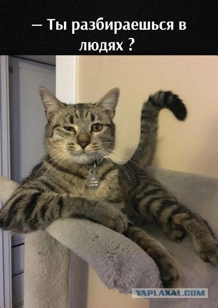 Домашняя иллюминация в нашей деревне