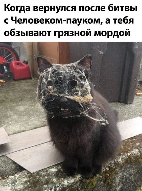 Грязнуля ты, Наташа, поэтому и живем вдвоем