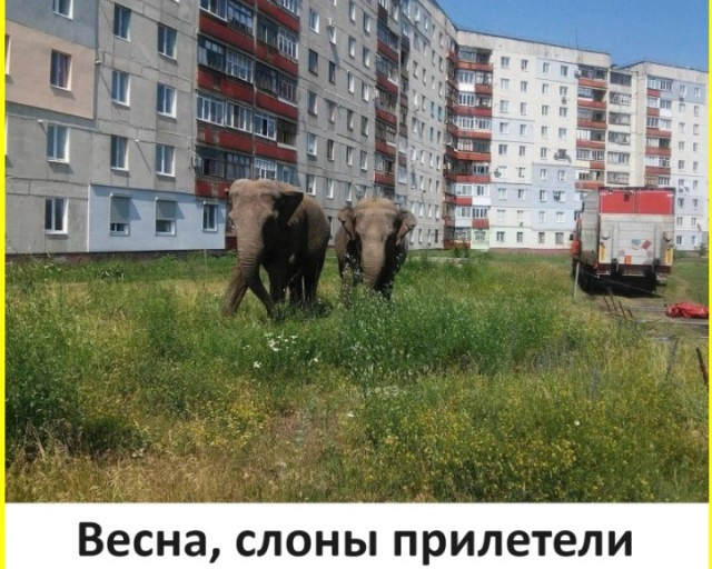 Боянчики на пятницу