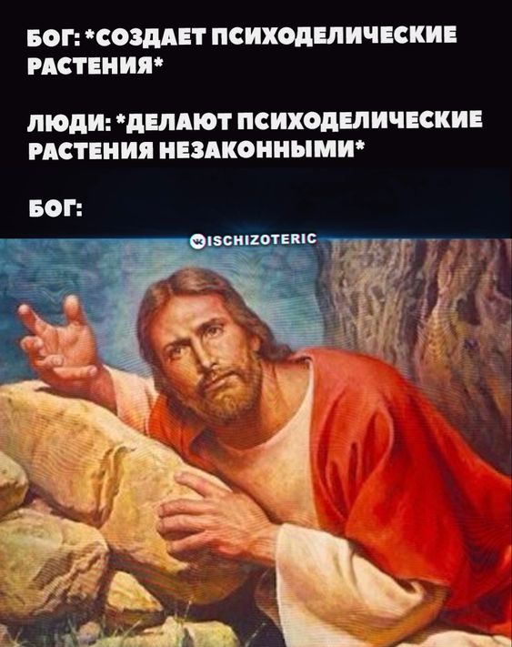 Прикольные и просто красивые картинки 12.11.2024