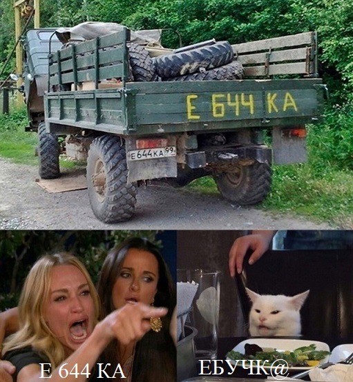 Знаменитый кот