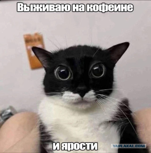 Картинки всякие