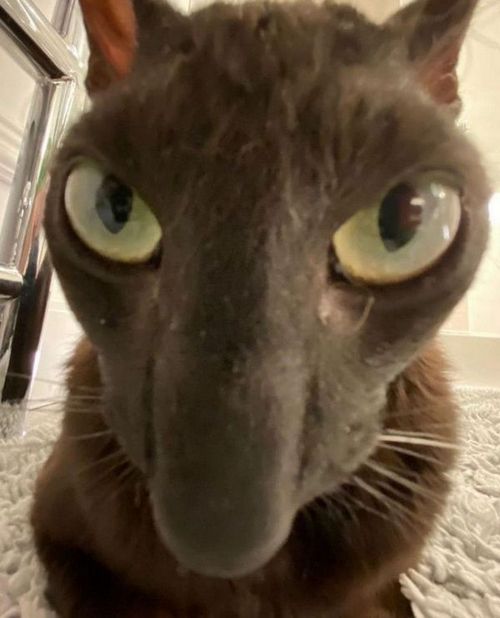 Снег кружится, летает, летааает....