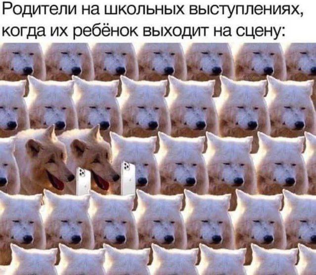 Картинки для деградации 148 (разной степени свежести)