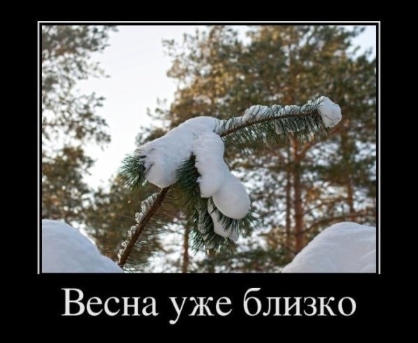 Субботние картинки