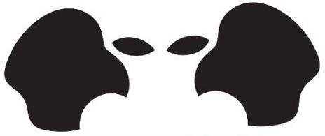 Забавная иллюзия с лицами