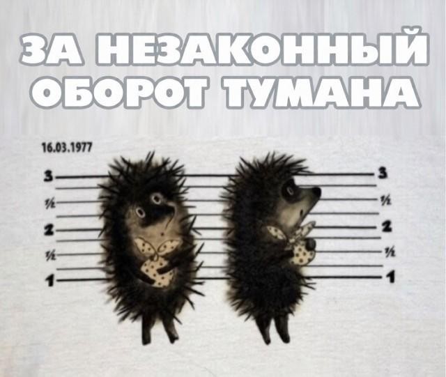 Субботние картинки