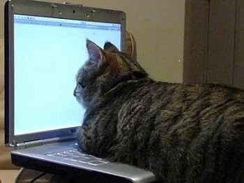 Литературная битва "ЯПлакал" против "Литбесов"