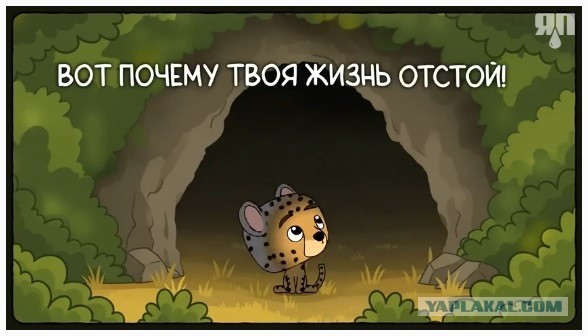 Ну че?! Всё засняли?!