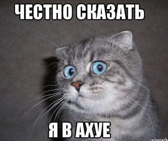 В Канаде на пустыре обнаружили 42 автобуса, хозяин которых полвека скрывал, для чего они нужны