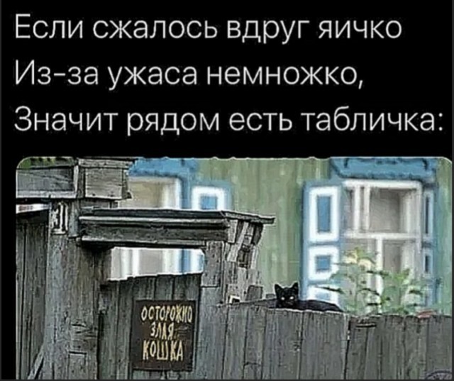 Веселые картинки в понедельник (12.10)