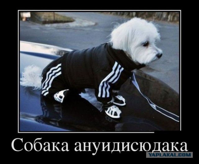 Картинки, вроде смешные.