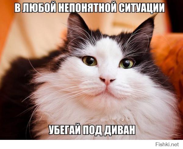 Веселые картинки