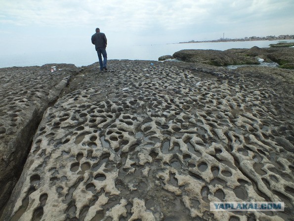 Путешествие от моря Карского