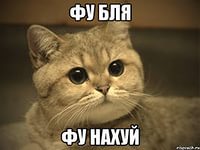 Купил. Для кота!