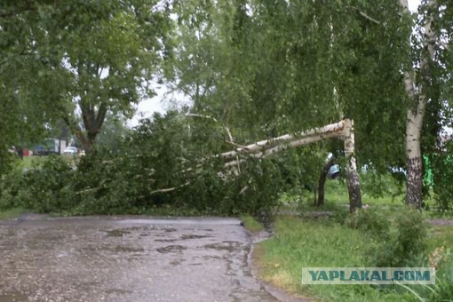 В ожидании грозы в Рязани ( 16.06.2015)