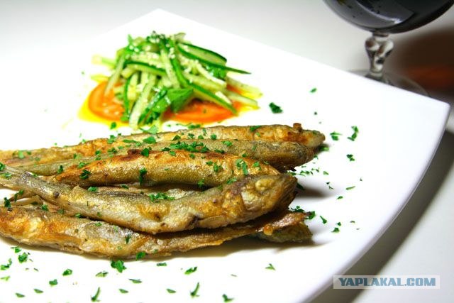 Корюшка зовет! Охота на рыбу-огурец