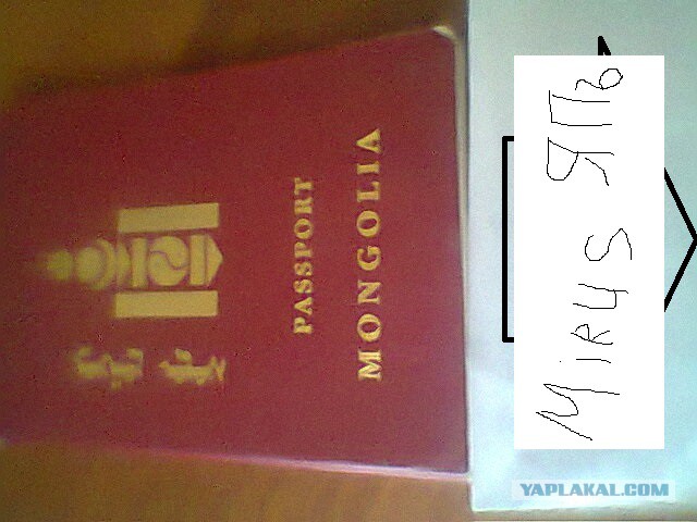 Эпичные монголы