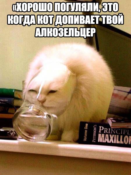 Картинки на утро вторника