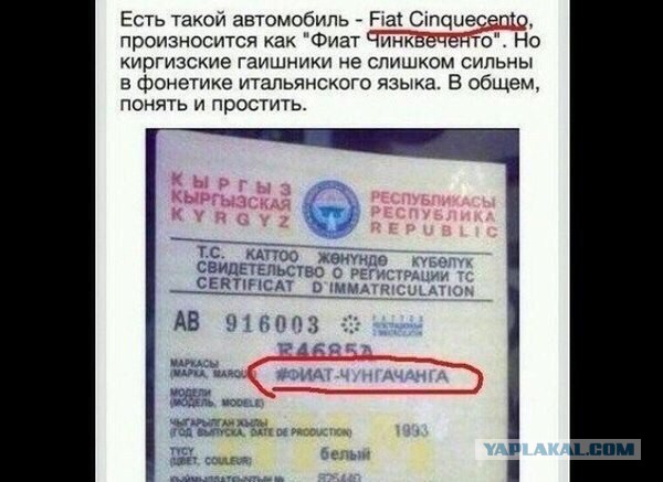 Подборка картинок ни о чём
