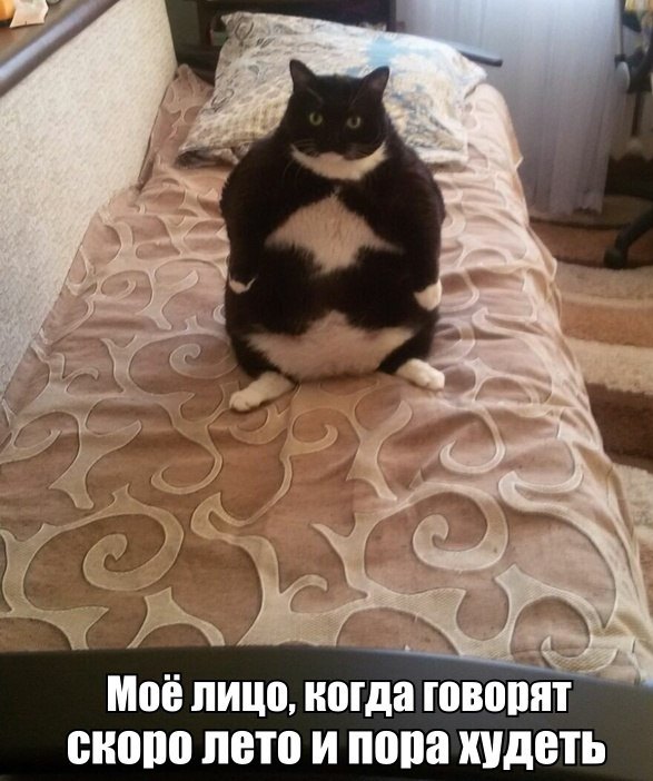 Подборка фотоприколов