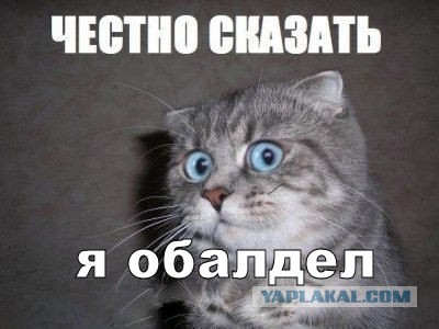 А поутру она умылась...
