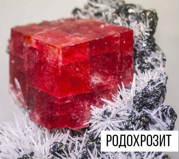 Интересные и веселые картинки