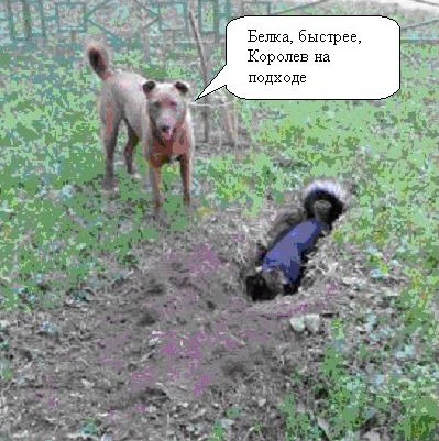 Фотожаба: да здесь где-то недалеко!